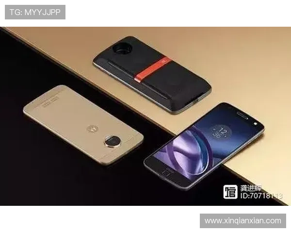 问鼎手机官网下载最新版本，畅享极致游戏体验的最佳途径推荐