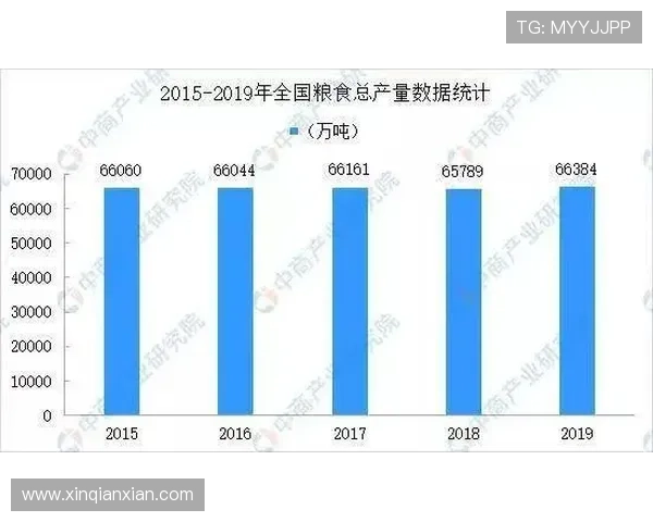 问鼎国际平台怎么样：平台安全性与资金保障措施详尽分析